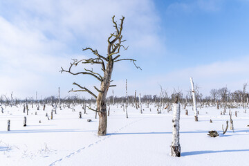 Winterlandschaft