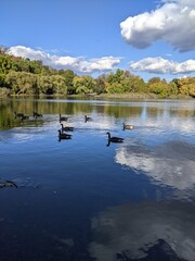 秋の初めの美しい湖
