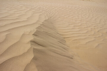 Great Saskatchewan Sandhills