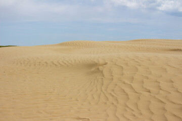 Great Saskatchewan Sandhills