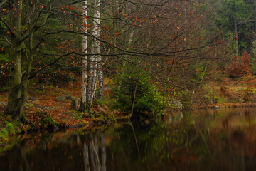 Hranicni pond in Luzicke mountains in autumn color wet morning