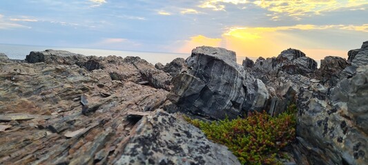 nature of the peninsula rybachiy russia