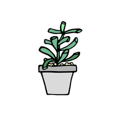 Succulent plant in grey pot. Hand drawn doodle crassula icon, logo. Isolated houseplants in concrete flowerpot. Vector illustration for poster, banner.