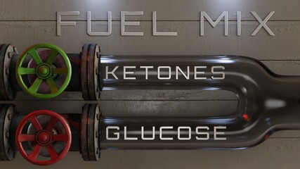 Fuel Mix: Ketones / Glucose