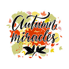 Vector illustration of autumn miracles lettering for banner, advertisement, postcard, poster, product design. Handwritten creative text for autumn festival for web or print
