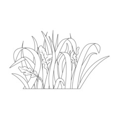 Grass vector icon.Outline vector icon isolated on white background grass.