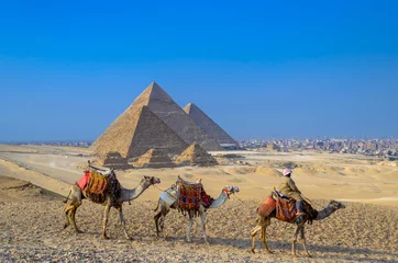 Fotobehang camels in the desert © Mohamed