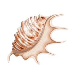 Seashell vector illustration. Marine underwater theme.