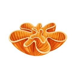 Coral vector illustration. Underwater flora, sea plants.