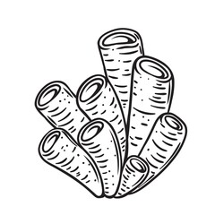 Hand drawn coral vector illustration. Underwater flora, sea plants.