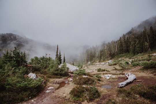 landscape with fog