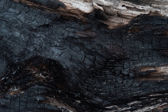 Black background, closeup of burned log 