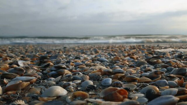 The seashore is strewn with colored shells and small pebbles. The sea wave rolls onto the sandy shore strewn with colored shells.View of the seashore and strewn with colorful shells.