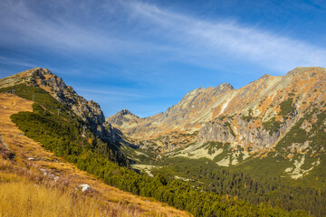 Fototapeta na wymiar The Mlynicka Valley at autumn period. The High Tatras National Park, Slovakia, Europe..