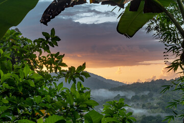 Looking out over the expanse of the Northern Range rainforest in Trinidad and Tobago in the evening at sunset.