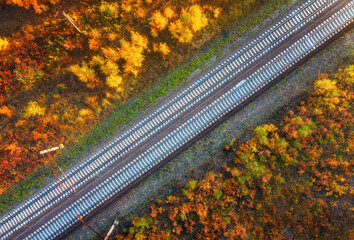 Aerial view of railroad in beautiful forest at sunset in autumn. Industrial landscape with railway station, trees with orange leaves in fall. Top view of rural railway platform. Transportation