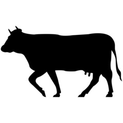 Cow icon for web and mobile