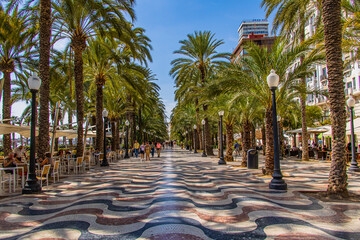 summer landscape with paseo de la explanada alicante in spain