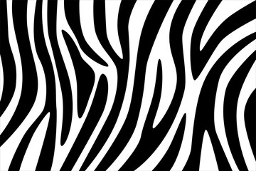 Geometric black and white zebra print. Zebra print, animal wool,  abstract drawing, line background. Hand drawn pattern.