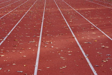 Track and Field running lanes full of leafs during autumn