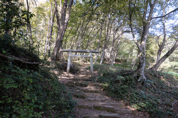 多峯主山の道中