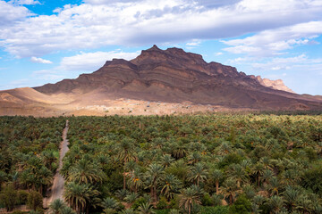 Moroccan Landscape: Oasis and Mountain