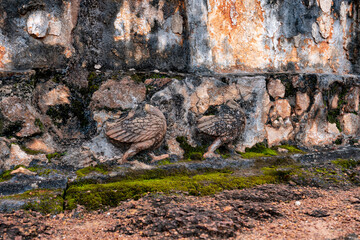 Obraz premium Historical and Ancient Temple Ruins in Thailand