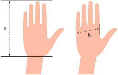 Obraz premium Vector Template for measuring hands. Glove Sizing Charts. Template for measuring gloves