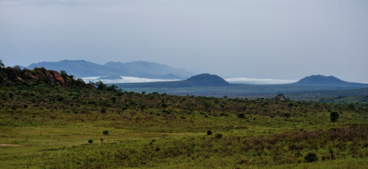 Obraz premium A picture of the african landscape