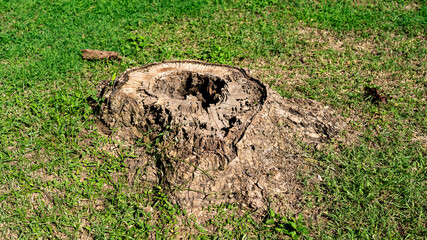 Historic Town of Sukhothai & Kamphaeng Phet Thailand