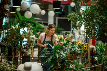 Florist taking care of a plant while spraying it with water