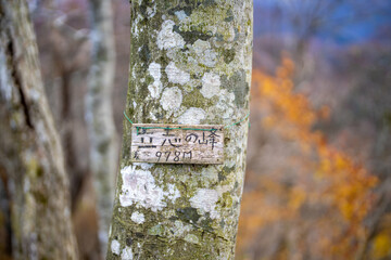 入善町、黒部宇奈月温泉や白馬岳を眺められる富山県入善町の負釣山を紅葉の時期に登山する風景 A view of climbing Mt.Oiturushiyama in Nyuzen-cho, Toyama Prefecture, with views of Kurobe Unazuki Onsen and Mt.Shirouma-dake, during the season of autumn