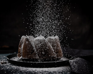 chocolate bundt cake  with powder sugar