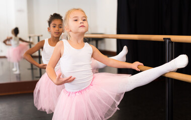 Two little girls in tutu rehearsing in classical dance school