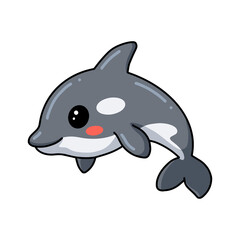 Cute little killer whale cartoon