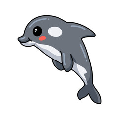 Cute little killer whale cartoon