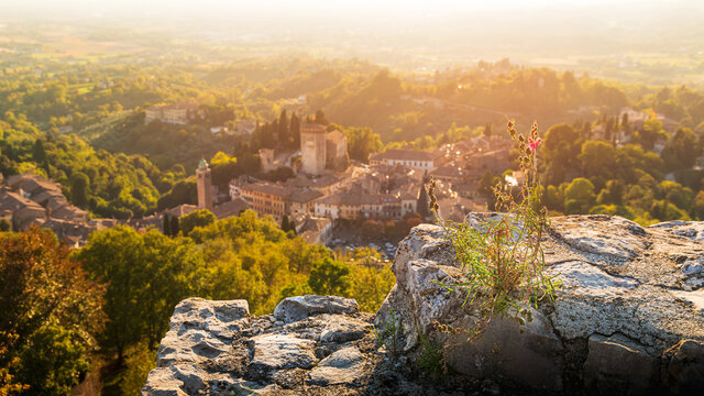 View of the Asolo ancient town from the walls of the Rocca di Asolo, fowers on the foreground
