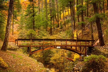 A bridge on the Pacific Crest Trail (PCT) crosses Squaw Valley Creek on a rainy autumn day in Siskiyou County, California, USA.  