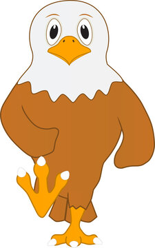 Cartoon of a cute bald eagle