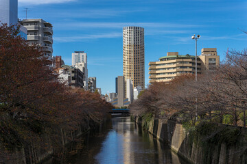 晩秋の東京目黒川の風景