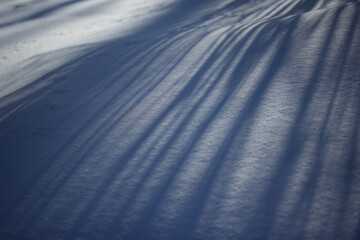 Long Shadows in the Snow