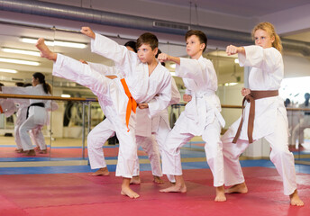 Group photo of young girls and boys performing combat moves during karate training