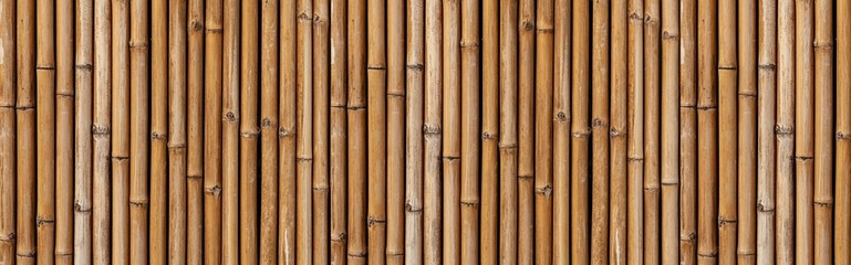 Panorama of  Brown old Bamboo fence texture and background seamless