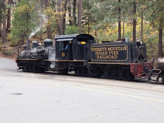 Obraz premium old steam train