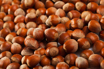 Natural background of unshelled raw hazelnuts. Healthy and nutritious snack..