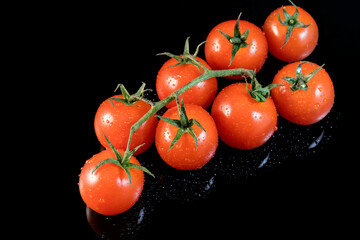 Fresh cherry tomatoes on a branch on an isolated black background close-up. 