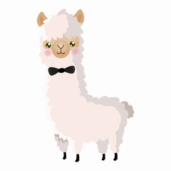 cartoon lama 