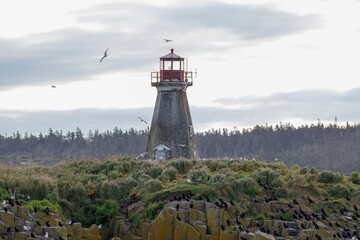 lighthouse on the coast