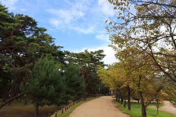 path in the park