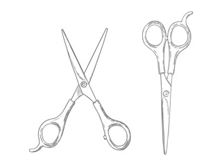 Scissors sketch. Hairdresser shears tool. Vector illustration isolated in white background